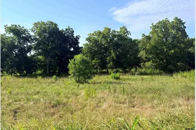 Tbd Fm 2493, Bullard, TX 75757 - Photo 13