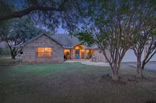 283 Co Rd 1576, Alba, TX 75410 - Photo 31