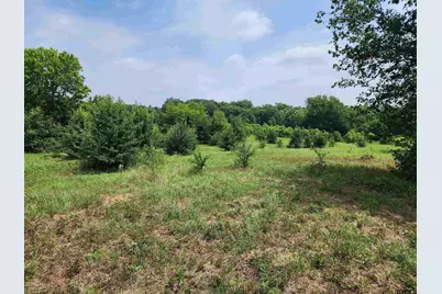 0000 S Hwy 69, Mineola, TX 75773 - Photo 21