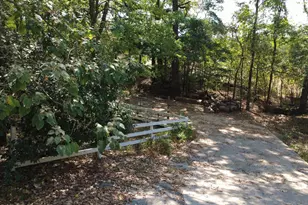 327 Pr 52436, Pittsburg, TX 75686 - Photo 9