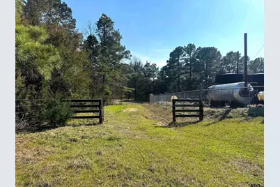 Tbd Cr 3545, Leesburg, TX 75451 - Photo 15