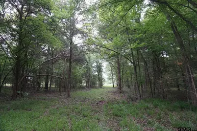 11919 Cr 1200, Malakoff, TX 75148 - Photo 33