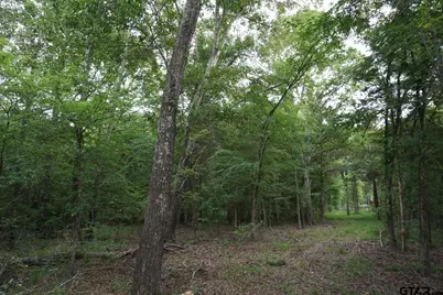 11919 Cr 1200, Malakoff, TX 75148 - Photo 35
