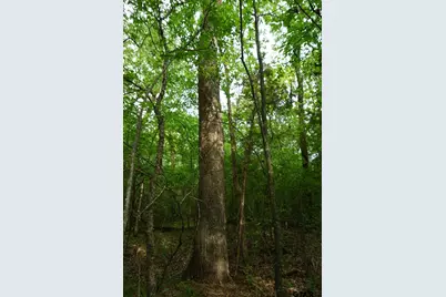 11919 Cr 1200, Malakoff, TX 75148 - Photo 11