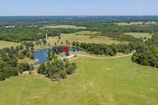 2929 SW Cr 3170, Winnsboro, TX 75494 - Photo 11