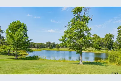 2929 SW Cr 3170, Winnsboro, TX 75494 - Photo 7
