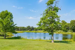 2929 SW Cr 3170, Winnsboro, TX 75494 - Photo 7