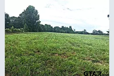 Lot 3 Cr 3204, Quitman, TX 75783 - Photo 3