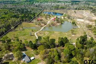 10449 Sheep Rd, Pittsburg, TX 75686 - Photo 31