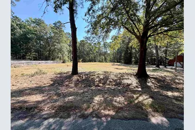 18084 Deer Trl, Flint, TX 75762 - Photo 3
