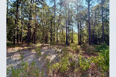 18084 Deer Trl, Flint, TX 75762 - Photo 7