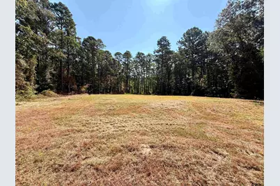 18084 Deer Trl, Flint, TX 75762 - Photo 5