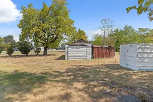 399 E Quitman St, Alba, TX 75410 - Photo 19
