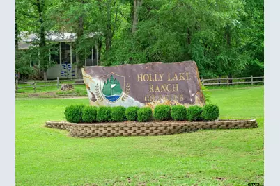 1304 Greenbriar Trail, Holly Lake Ranch, TX 75765 - Photo 43