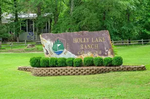 1304 Greenbriar Trail, Holly Lake Ranch, TX 75765 - Photo 43