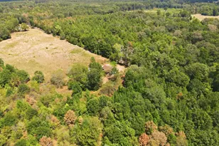 1271 Co Rd 1344, Pittsburg, TX 75686 - Photo 33
