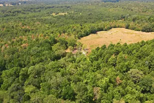1271 Co Rd 1344, Pittsburg, TX 75686 - Photo 31