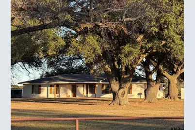 2529 W Hwy 11, Pittsburg, TX 75686 - Photo 3