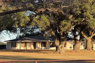 2529 W Hwy 11, Pittsburg, TX 75686 - Photo 3