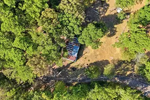 130 Pr 8697, Winnsboro, TX 75494 - Photo 9