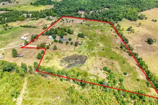 442 An County Road 1201, Elkhart, TX 75839 - Photo 43