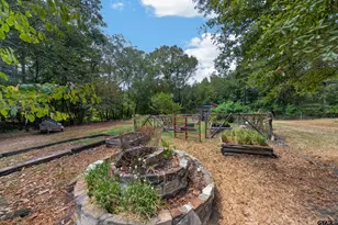770 Piney Grove Rd, Jacksonville, TX 75766 - Photo 39