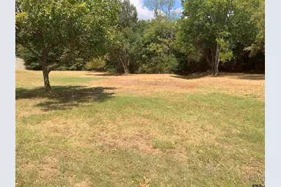Lot 4 Cade Drive, Chandler, TX 75758 - Photo 3