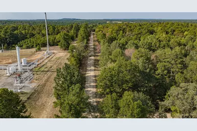 2283 Flamingo Rd, Gilmer, TX 75645 - Photo 43
