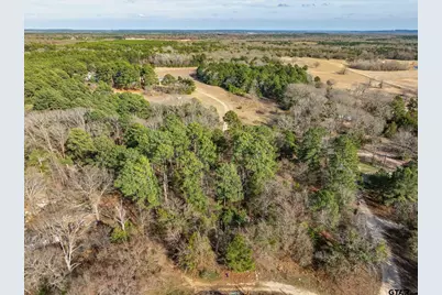 3.77 Acres County Road 3520, Brownsboro, TX 75756 - Photo 11