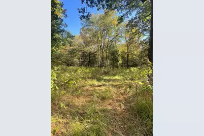 000 Fm 2661, Flint, TX 75762 - Photo 11