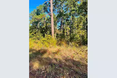000 Fm 2661, Flint, TX 75762 - Photo 7