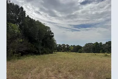Tbd Cade's Cove Road, Chandler, TX 75758 - Photo 13