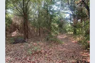 Tbd Cr 479 (14.99 Ac Tract 4), Lindale, TX 75771 - Photo 5
