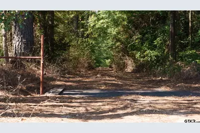 5755 Cr 102, Overton, TX 75684 - Photo 13