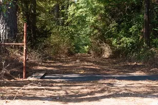 5755 Cr 102, Overton, TX 75684 - Photo 13