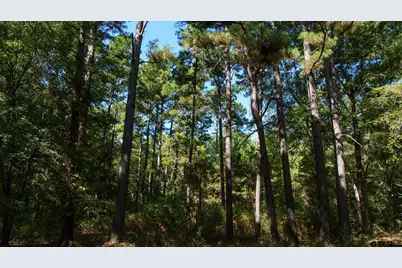 5755 Cr 102, Overton, TX 75684 - Photo 15