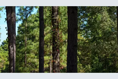 5755 Cr 102, Overton, TX 75684 - Photo 7
