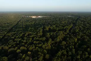 5755 Cr 102, Overton, TX 75684 - Photo 3