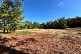 4650 FM 724, Tyler, TX 75704 - Photo 3