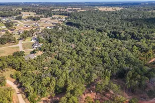 14602 Cr 188, Bullard, TX 75757 - Photo 41