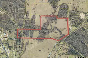 Fm 848, Whitehouse, TX 75791 - Photo 1