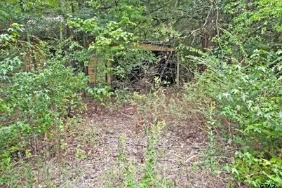 Tbd Fm 69, Quitman, TX 75783 - Photo 15