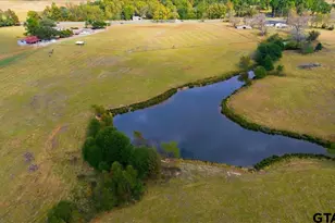 10736 E Hwy 154, Sulphur Springs, TX 75482 - Photo 37
