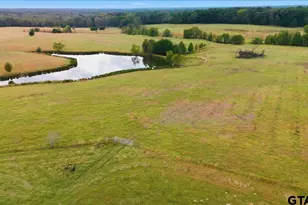 10736 E Hwy 154, Sulphur Springs, TX 75482 - Photo 43