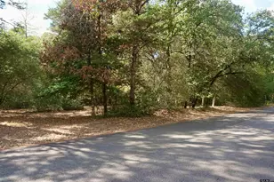 Tbd Lot 146 (Evening Shadows Trail), Holly Lake Ranch, TX 75765 - Photo 1