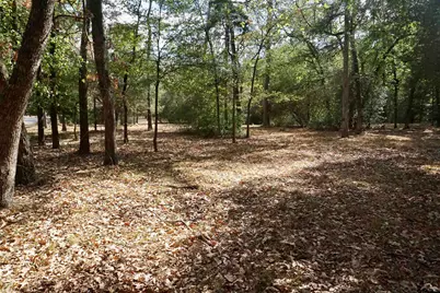 Tbd Lot 146 (Evening Shadows Trail), Holly Lake Ranch, TX 75765 - Photo 9