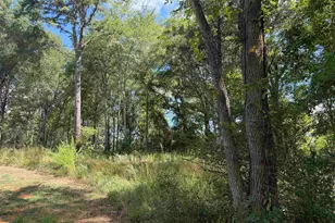 13929 Cr 294, Arp, TX 75750 - Photo 1