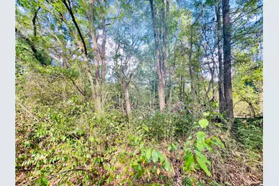 0000 Apple Tree Rd, Gilmer, TX 75644 - Photo 23