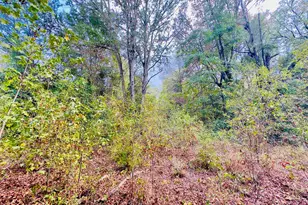0000 Apple Tree Rd, Gilmer, TX 75644 - Photo 1