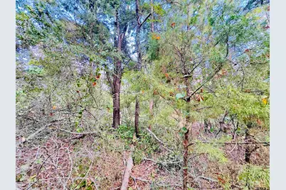 0000 Apple Tree Rd, Gilmer, TX 75644 - Photo 5